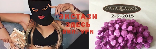 apvp Верея