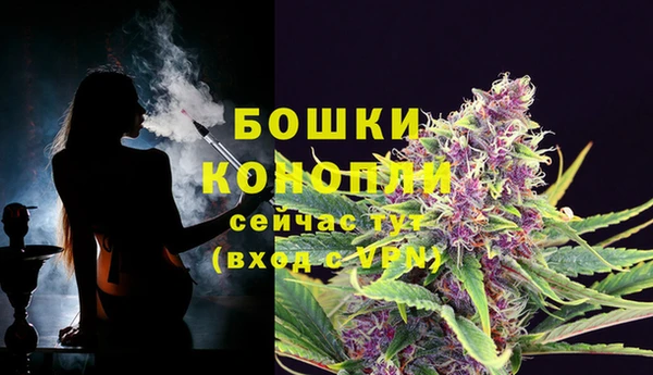 apvp Верея