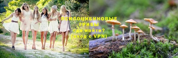 apvp Верея
