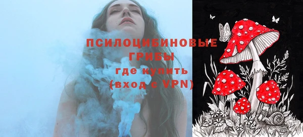 эйфоретик Бугульма
